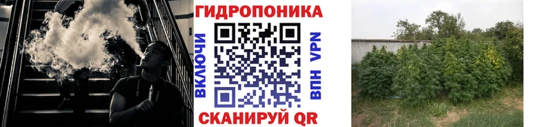 Какие есть наркотики Оса Alpha-PVP МЕФ Кокаин
