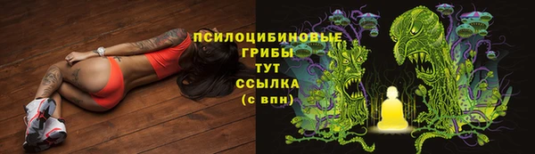 spice Алексин