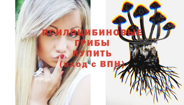 соль ск Алексеевка