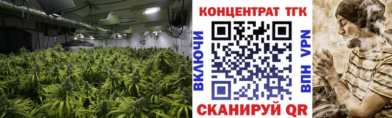 blacksprut tor  купить  цена  Оса  Дистиллят ТГК жижа 