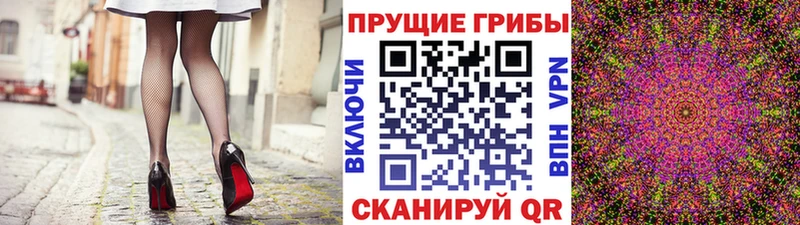кракен рабочий сайт  Оса  Галлюциногенные грибы прущие грибы 